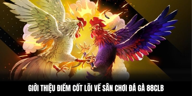 Giới thiệu điểm cốt lõi về sân chơi đá gà 88CLB
