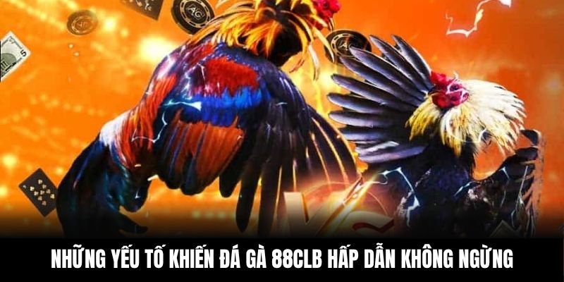 Những yếu tố khiến đá gà 88CLB hấp dẫn không ngừng