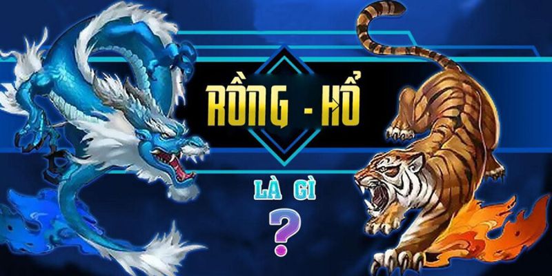 Tổng quan game rồng hổ xin88