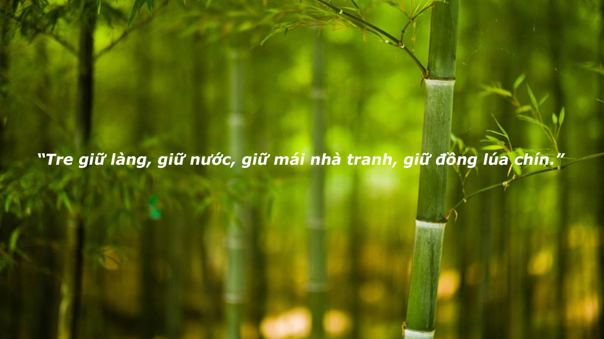 Biện pháp nghệ thuật là gì - Khám Phá Đặc Điểm và Vai Trò Trong Văn Chương