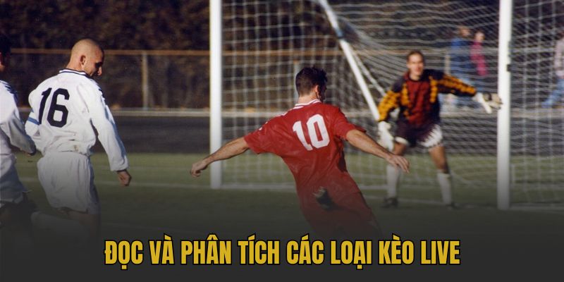 Đọc và phân tích các loại kèo live