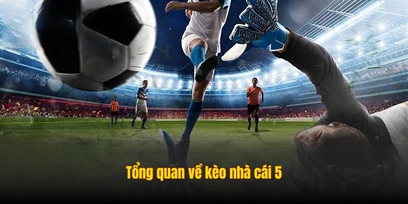 Tổng quan về kèo nhà cái 5
