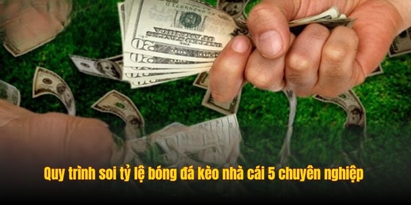 Quy trình soi tỷ lệ bóng đá kèo nhà cái 5 chuyên nghiệp 