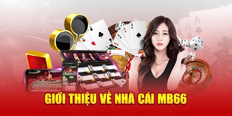 Thông tin cơ bản về hệ thống MB66