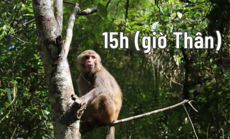 Hình minh họa giờ Thân – thời điểm mặt trời lặn