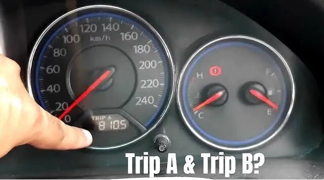 Trip là gì