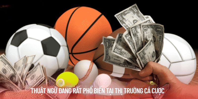 Thuật ngữ đang rất phổ biến tại thị trường cá cược