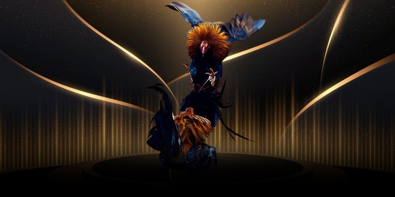 Giới thiệu cơ bản về hình thức đá gà Philippines