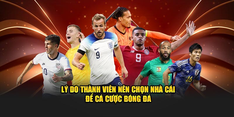 Lý do thành viên nên chọn nhà cái để tham gia trải nghiệm