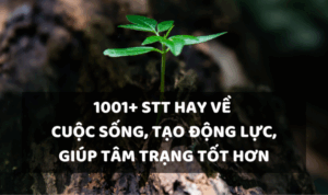 nhưng câu nói hay về cuộc sống