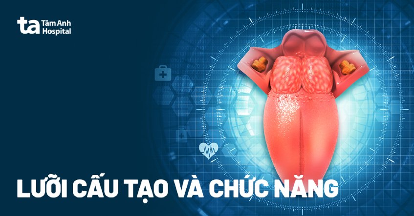 Khám Phá Kỹ Thuật