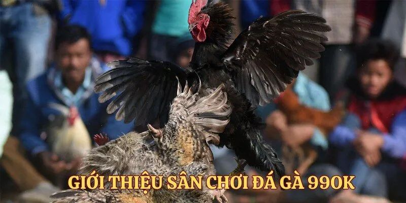 Sảnh game thu hút nhiều dân chơi cá cược