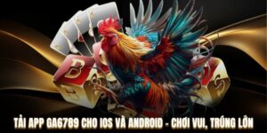 Những lợi ích khi download ứng dụng