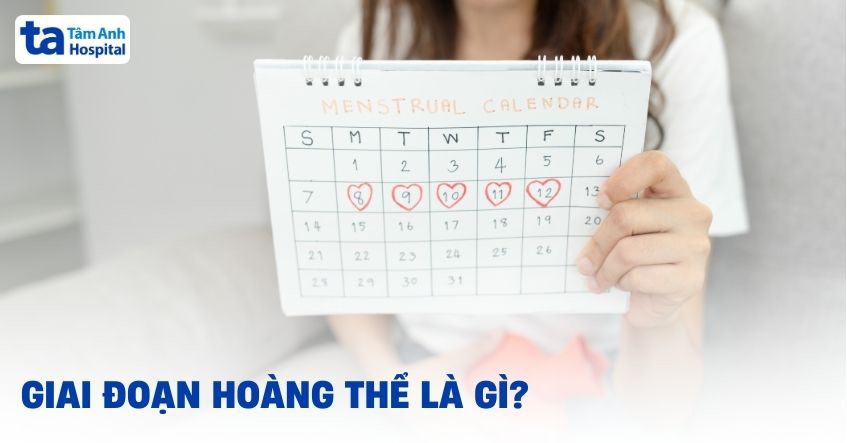 To which là gì - Khám phá những khía cạnh thú vị của cụm từ này