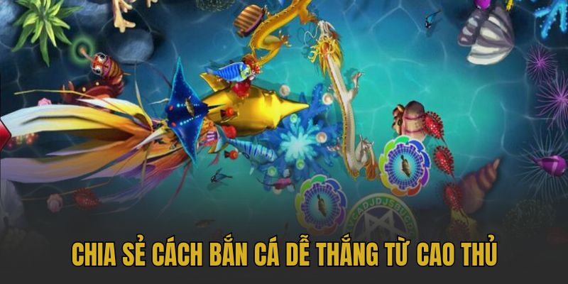 Chia sẻ cách bắn cá dễ thắng từ cao thủ