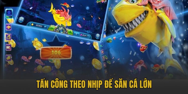 Tấn công theo nhịp để săn cá lớn
