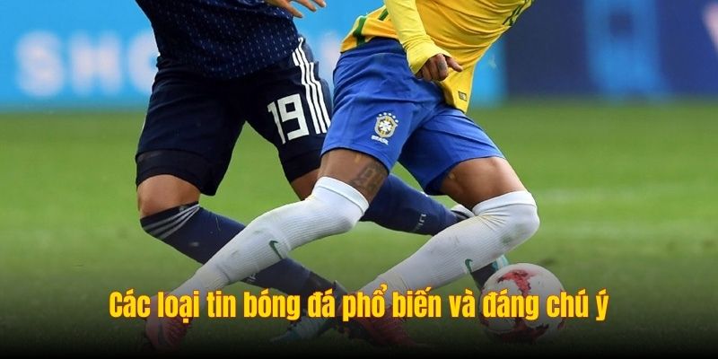 Các loại tin bóng đá phổ biến và đáng chú ý