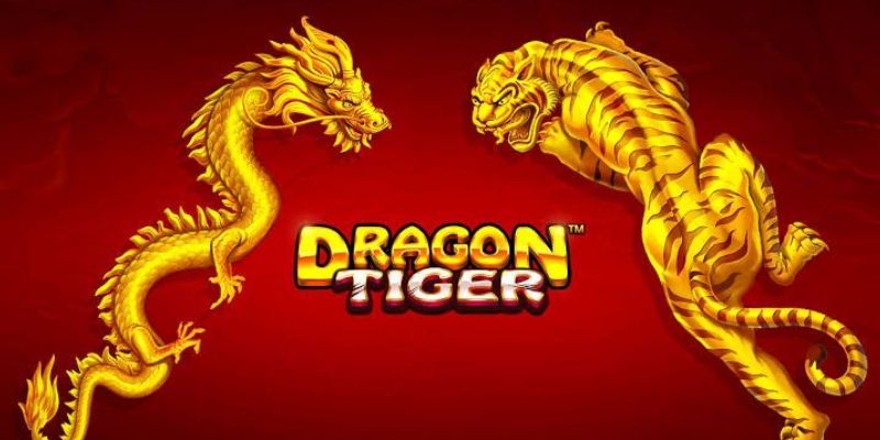 Bạn cần nắm được luật khi tham gia game Dragon Tiger