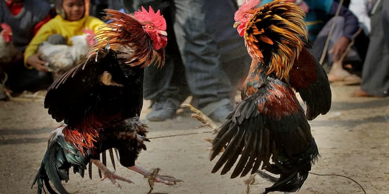 Thời gian nghỉ ngơi hợp lý