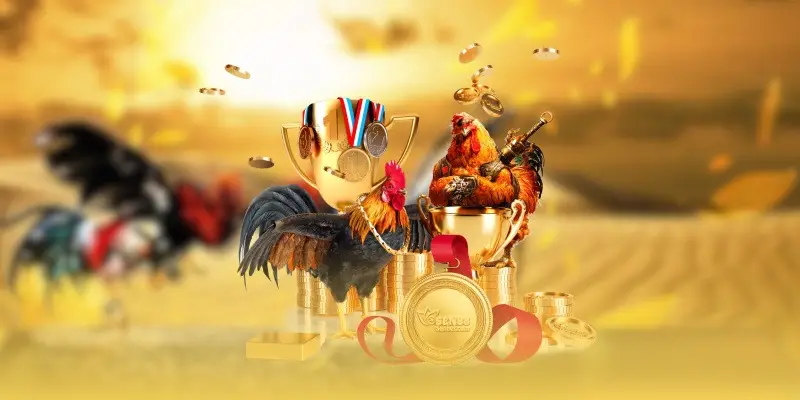 Ưu điểm tạo nên sức hút đặc biệt của đá gà 68WIN