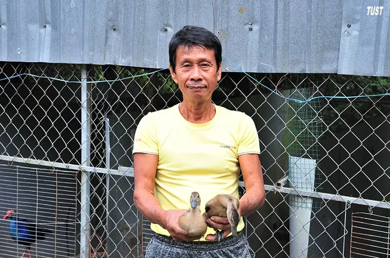 Le le là con gì mà bay như chim, một nông dân Sóc Trăng nuôi thành công, bán đắt hàng - Ảnh mô hình nuôi le le