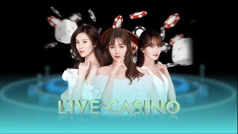 Hướng dẫn cho cược thủ cách tham gia game bài NOHU90