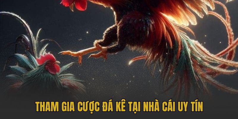 Tham gia cược đá kê tại nhà cái uy tín