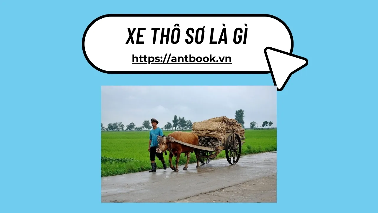 Mức phạt vi phạm xe thô sơ